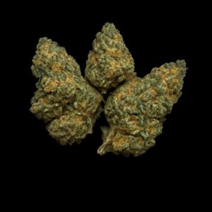 IMC T18 Notorius Gush THC25