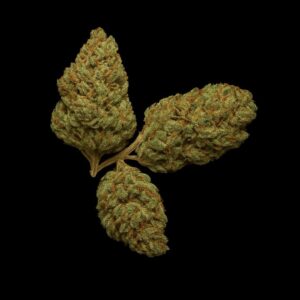 ZOIKS 22/1 SR Space Rider