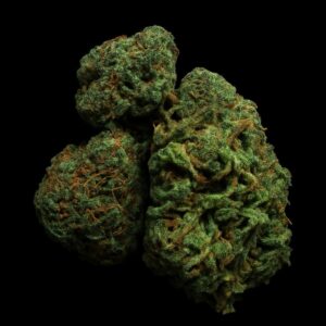 IMC THC17 T01 HK Hindu Kush