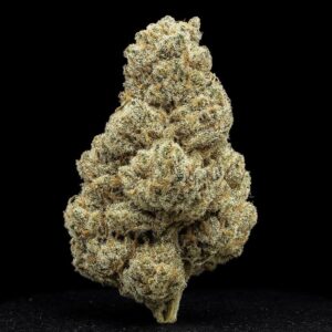 TYSON 2.0 22/1 Frozen Fist