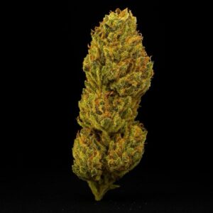 Luana 16/1 MAC Miracle Alien Cookies