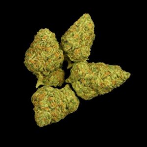 TRUU GT 27/01 Crumbled Lime