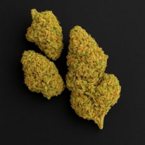 Herbasana Salsa Lover 20/01 Cosmic Soda